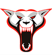 Budapest Wolves Logo