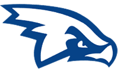 Air Force Hawks Logo