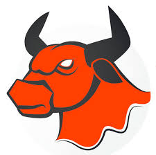 Wendland Bulls Logo