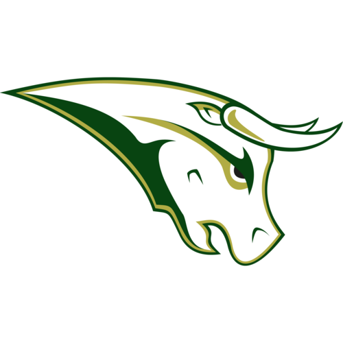 STU Northside Bulls Logo
