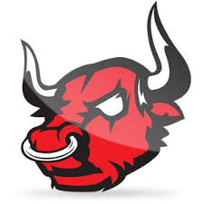 Mad Bulls Barletta Logo