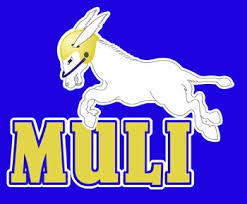 Muli Trieste Logo