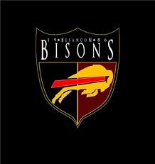 Besancon Bisons Logo