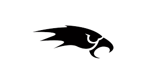 Merseyside Nighthawks Logo