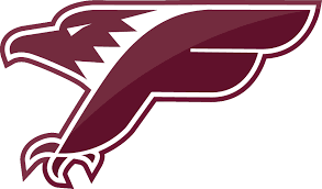 Falcons de Bron-Villeurbanne Logo