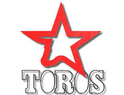Madrid Toros Logo