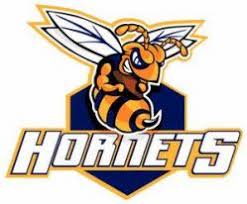 Zaragoza Hornets Logo