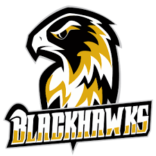 Münster Black Hawks 2