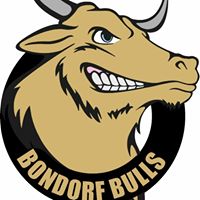 Bondorf Bulls