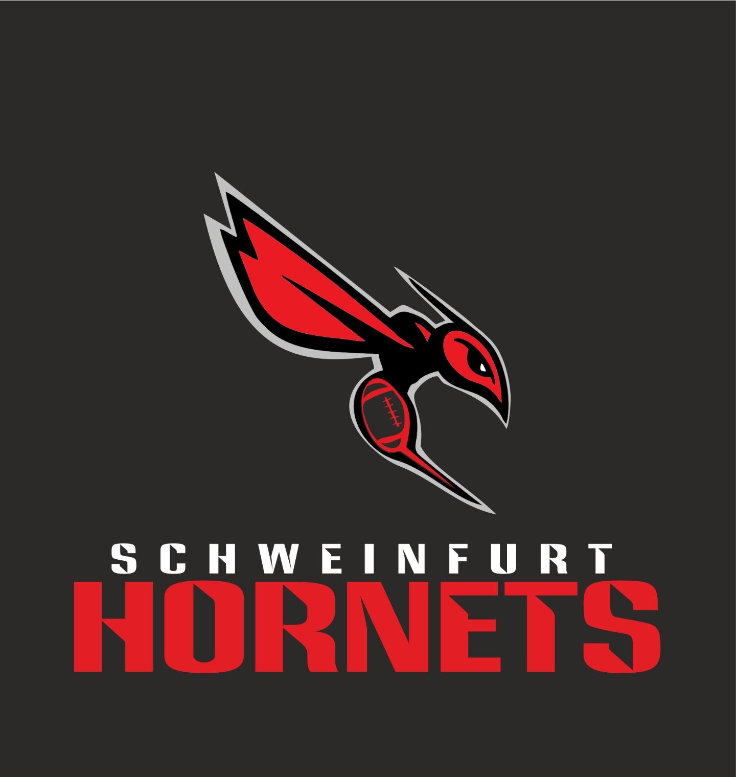 Schweinfurt Hornets